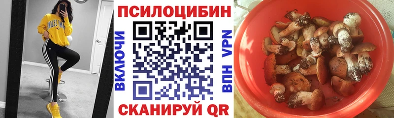 закладка  сайты даркнета какой сайт  Псилоцибиновые грибы Psilocybe  Белоозёрский 